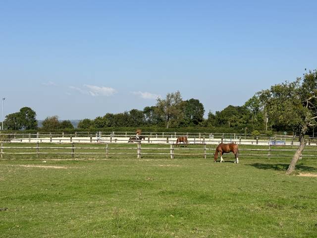 Stud farm  Calvados