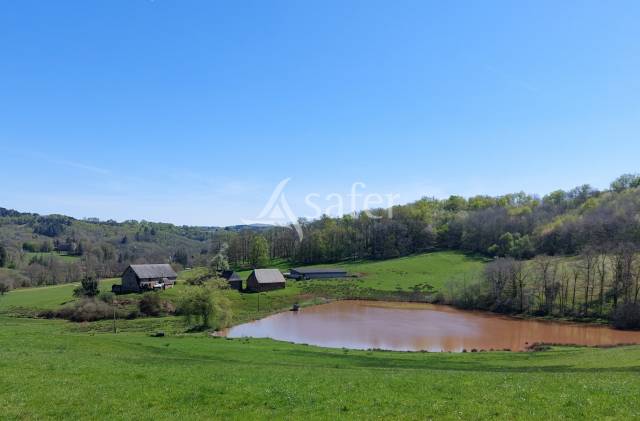 Sheep farm  Dordogne