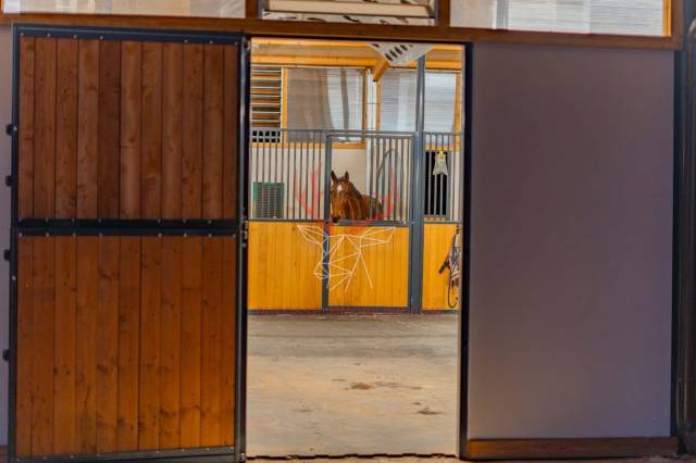 Luxurious equestrian property  Var