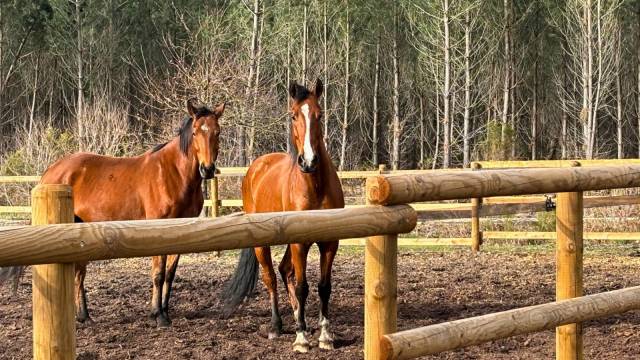 Equestrian property  Gironde