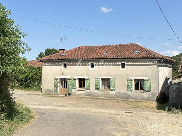 Dairy farm  Charente