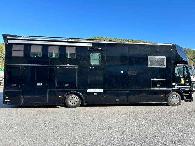 Horsebox NON-HGV Iveco STX 2005 Used