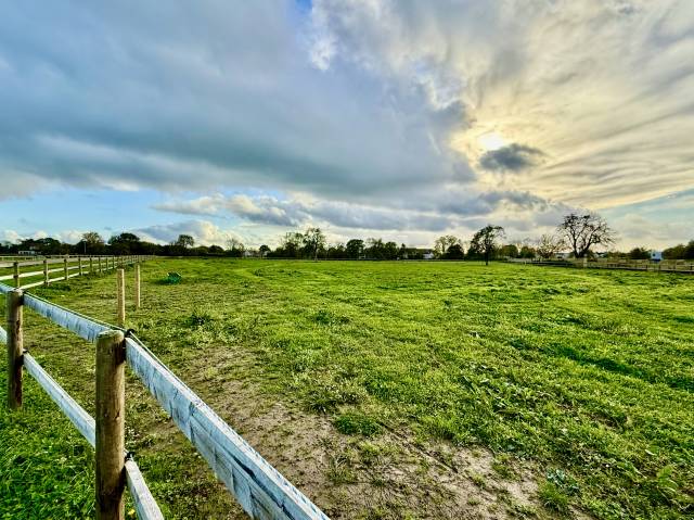 Stud farm  Calvados