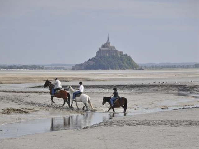 Holiday equestrian property  Ile-et-Vilaine