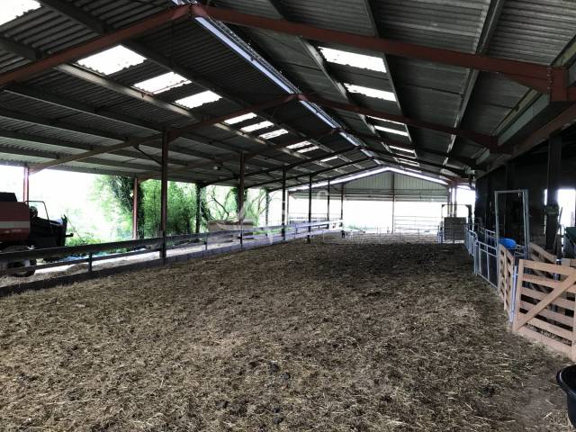 Sheep farm  Dordogne