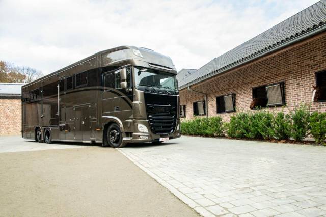 Horsebox NON-HGV Daf XF 450 2019 New