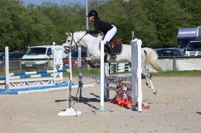 Mare French Saddle Pony For sale 2020 Grey