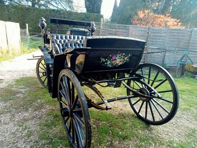 Carriage - Calèche - Other brand - Vis à vis baude 