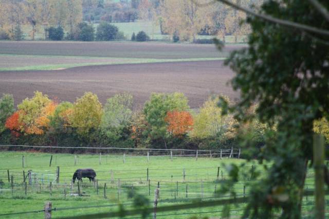 Equestrian property  Calvados