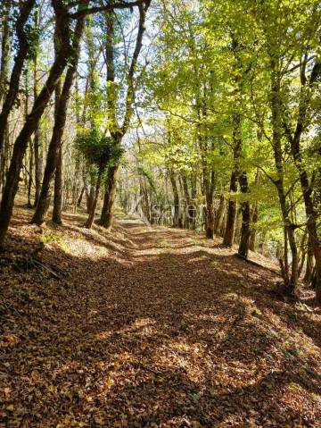 Other country property  Lot
