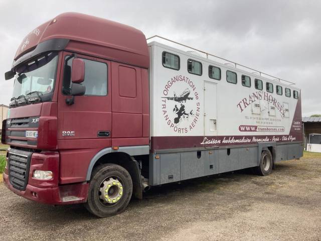 Horsebox NON-HGV Daf CAMION THEAULT 2008 Used