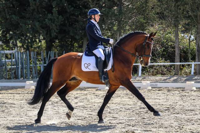Dior du Fesquet - Lusitano 2013 by Rubi Ar