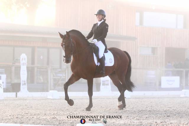 Dior du Fesquet - Lusitano 2013 by Rubi Ar