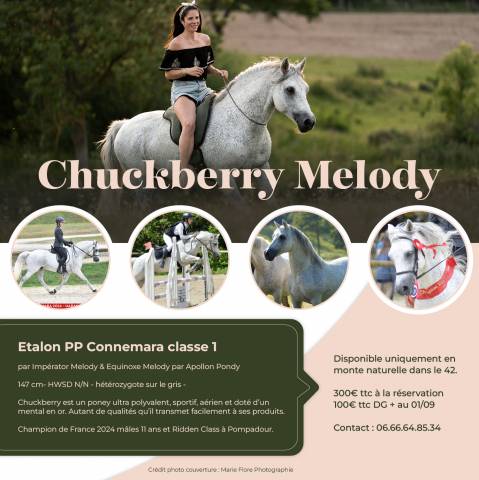 Chuckberry Melody - Connemara 2012 by IMPERATOR MELODY