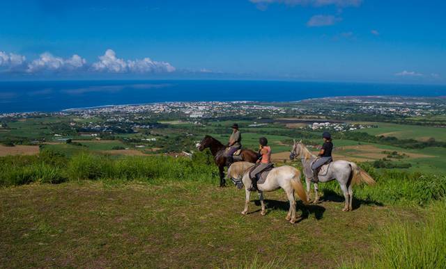 Riding school  