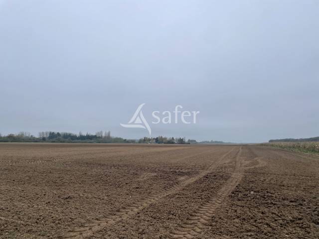 Other agricultural property  Loiret