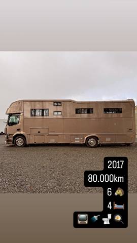 Horsebox NON-HGV STX Antos  2017 Used