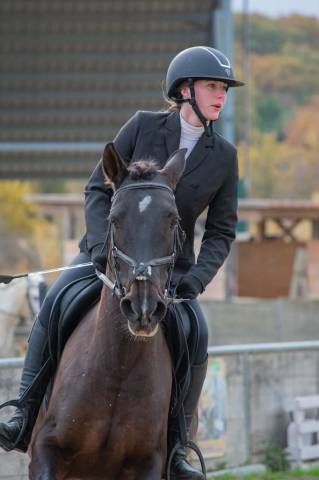 Mare PRE Pure Spanish Bred For sale 2010 Bay