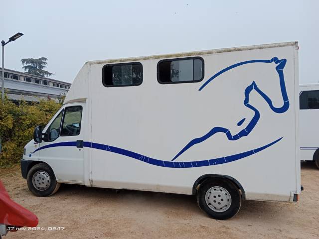 Horsebox HGV Fiat  DUCATO 2.8 JTD  2' SERIE 2002 Used