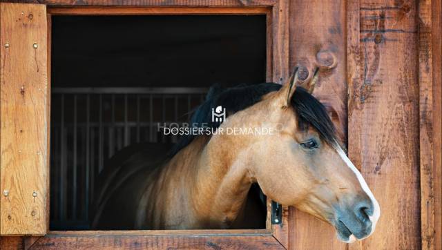 Riding school  Yvelines
