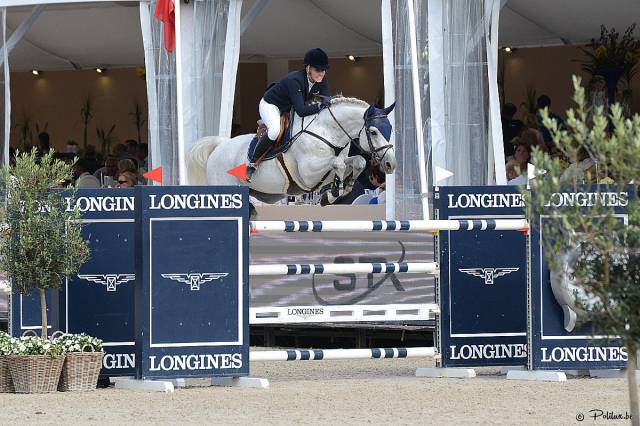 Broodmare sBs Belgian Warmblood For sale 2007 Bay