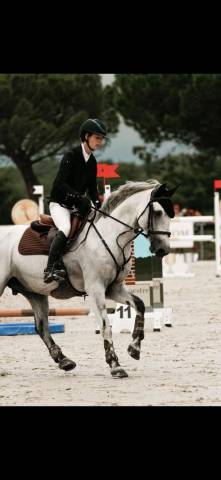 Augenblick YSANDRE  - French Saddle Pony 2010