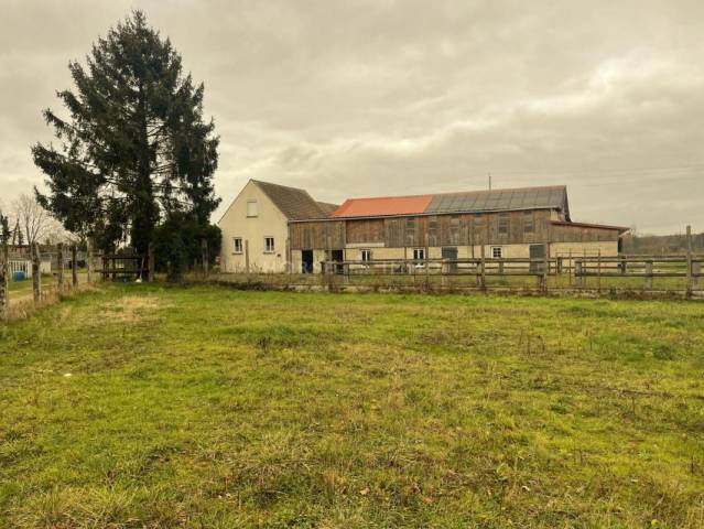 Stud farm  Oise