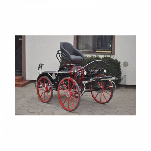 Carriage - Marathon for competition Dominiak  
