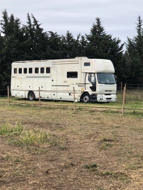 Horsebox NON-HGV - Other brand - DONGUY 2000 Used