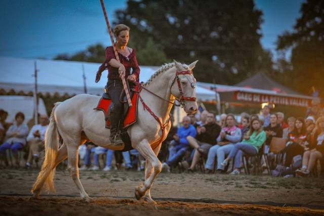 Delirio de Bouchetis  - AES Anglo European Studbook 2013 by ROBADOR