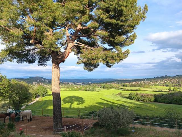 Equestrian property  Alpes-de-Haute-Provence