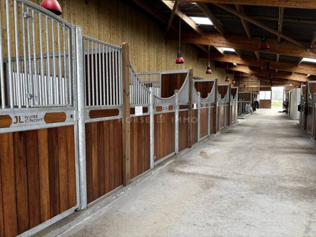 Stud farm  Vendée