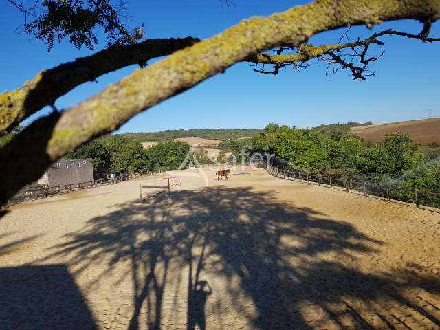 Equestrian property  Meurthe-et-Moselle