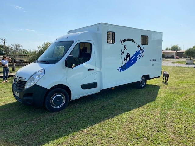 Horsebox HGV Renault  2019 Used
