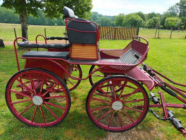 Carriage - Calèche - Other brand - MARATHON 