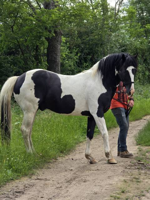 BLACK AND VHITEDEVAL  - Paint 2011