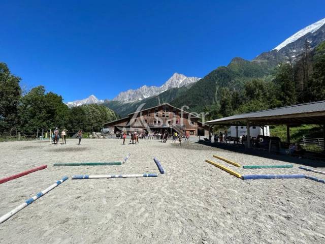 Equestrian property  Haute-Savoie