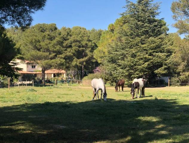 Luxurious equestrian property  Bouches-du-Rhône