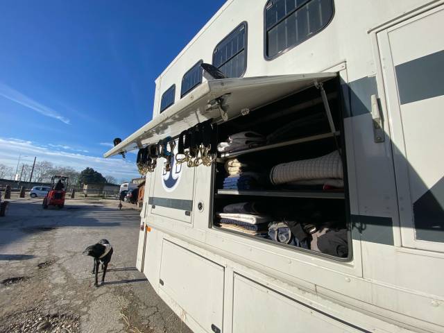 Horsebox NON-HGV Scania R420 2009 Used
