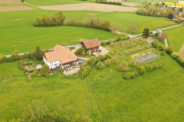 Equestrian farm  Vaud