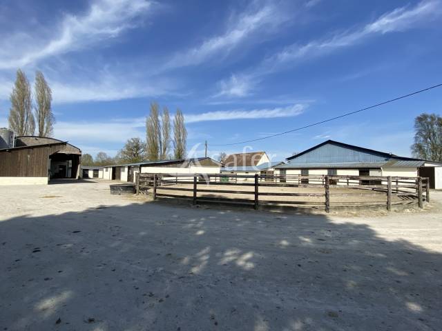 Equestrian property  Orne