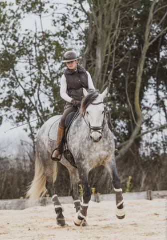Gelding Lusitano For sale 2019 Grey