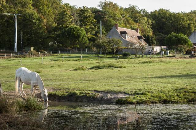 Equestrian property  Cher