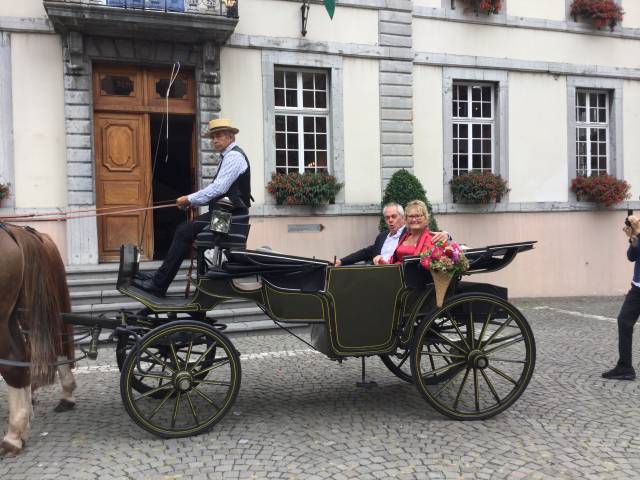 Carriage - Landau   