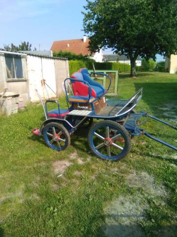 Carriage - Marathon for leisure   