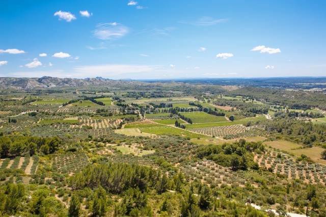 Equestrian property  Bouches-du-Rhône