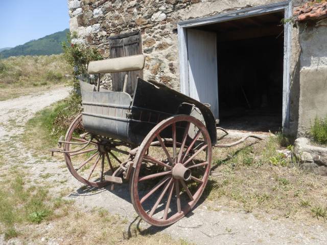 Carriage - Calèche   