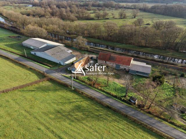 Sheep farm  Allier