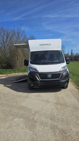 Horsebox HGV Fiat  180 2.5 D 2023 Used