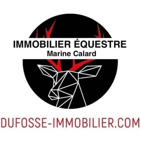 Equestrian property  Ain